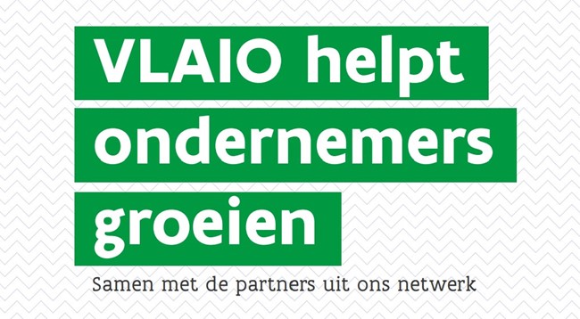Vlaio Helpt Ondernemers Groeien