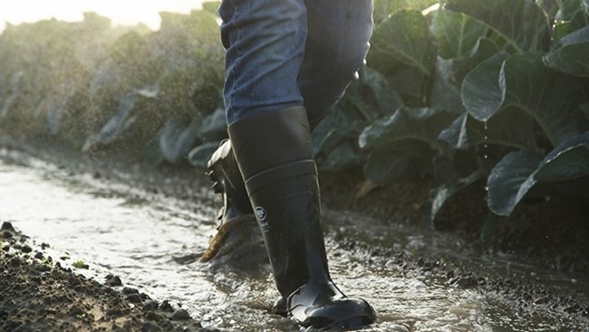 Waterdichte Laarzen Van Bekina Boots